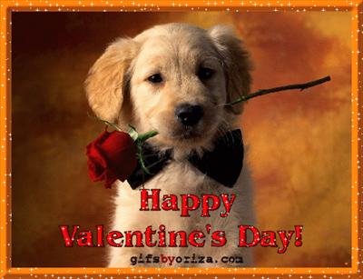 Your Puppy Cute Valentine!