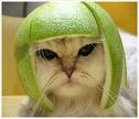 Home made helmet