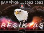 şapiyon bjk