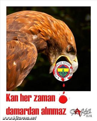 ezik fb