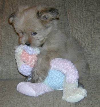 Sending a hug !! 