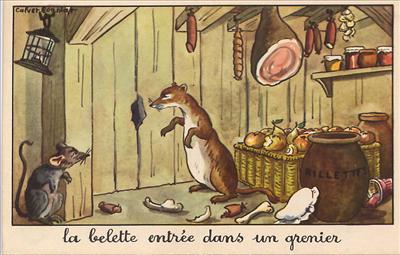 fables: belette