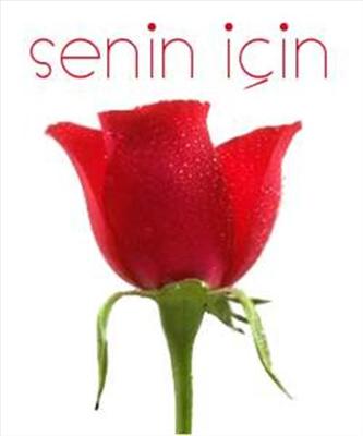 Gül