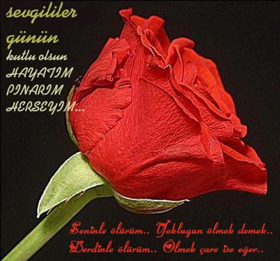 Gül