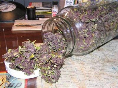 Purple Monster