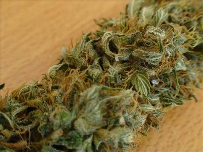 Ak47