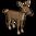 Doe