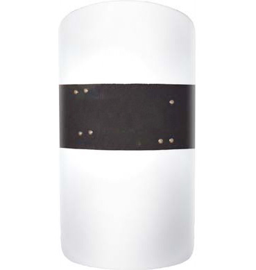 Riot Shield