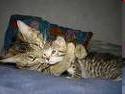 A hug