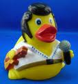 Elvis Ducksley