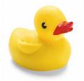 Rubber Duck