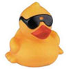 Cool Duck