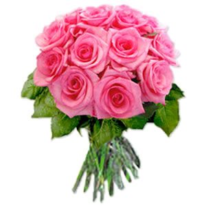 PINK ROSES