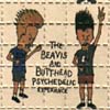 Beavis & Butthead