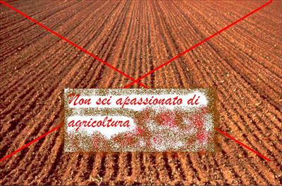Agricolo