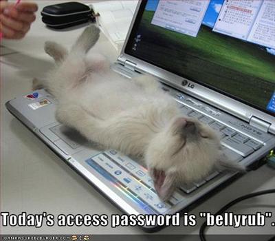 Funny Gift Picture