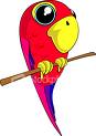 Parrot