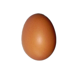 Brown Egg