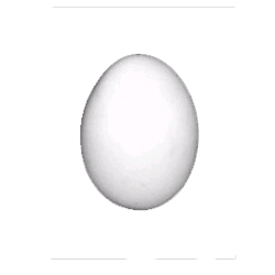 White Egg