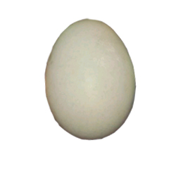 Green Egg