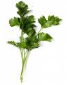Parsley