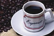 Kava