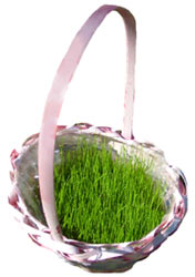 Basket with wheat grass