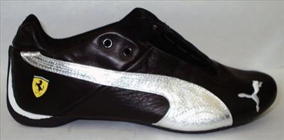 Puma 2