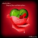 Love Making