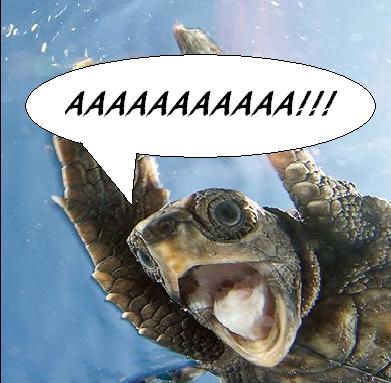 SQUISH!!!...pisaste uma...