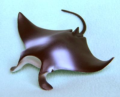 Manta