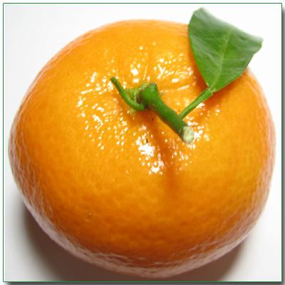 Mandalina