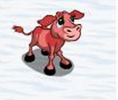 Pink Calf