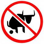 bullshit