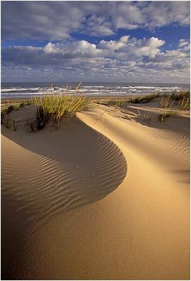 Dunes