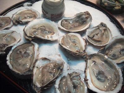 Oysters