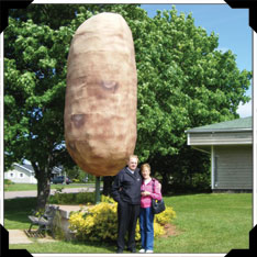PEI Potato