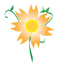 Orange Flower