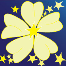 Seeing Stars At Night