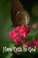 Have Faith