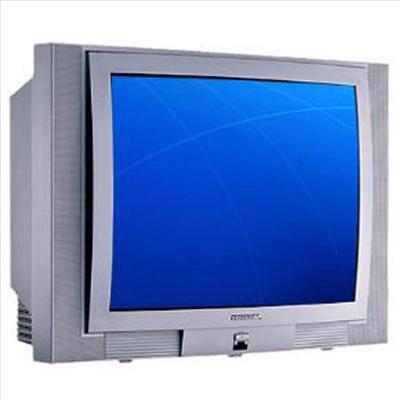 Televizyon