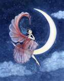 The Dreamer