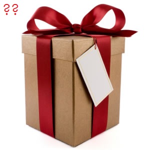 Mystery Gift x