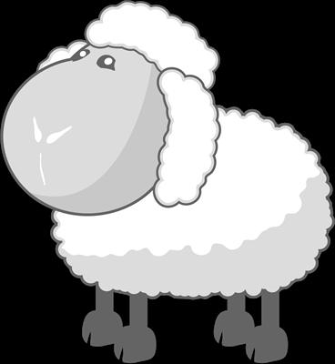 Sheep