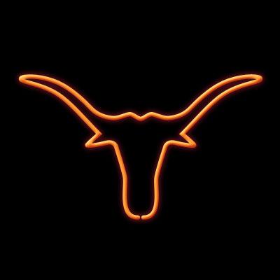 Mr.Longhorn
