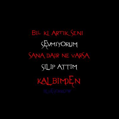 Sevmiyorsun