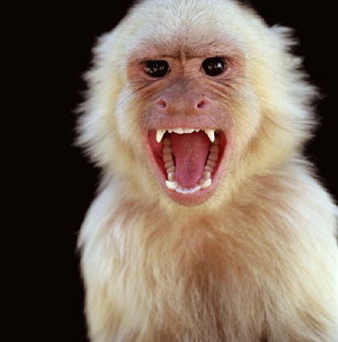 Angry