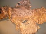 Copper