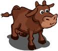 Brown Cow
