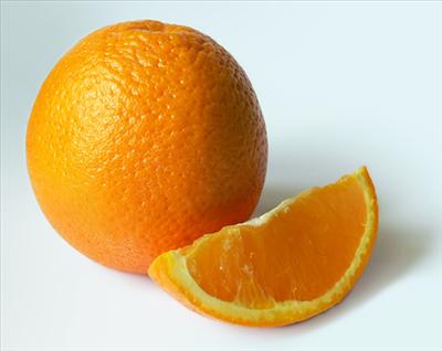 Orange Tree